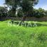  Land for sale in Uruapan, Michoacan, Uruapan