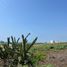  Land for sale in Armeria, Colima, Armeria