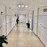 2,002 Sqft Office for rent in Mexico City, Miguel Hidalgo, Mexico City