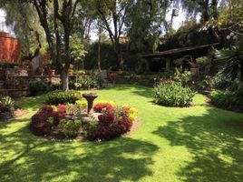 2 Schlafzimmer Wohnung zu verkaufen in Benito Juarez, Mexico City, Benito Juarez