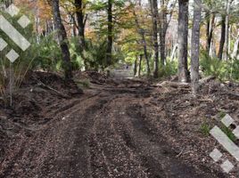  Terreno (Parcela) en venta en Lacar, Neuquen, Lacar