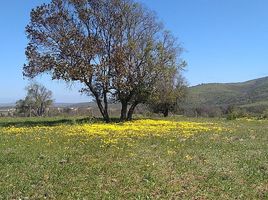  Terrain for sale in La Ligua, Petorca, La Ligua