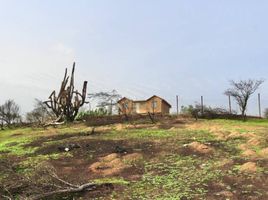  Terreno (Parcela) en venta en Melipilla, Santiago, Melipilla, Melipilla