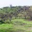  Terreno (Parcela) en venta en Melipilla, Santiago, Melipilla, Melipilla