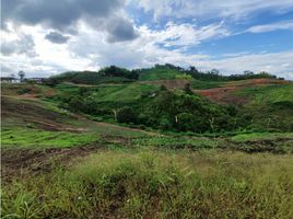  Terreno (Parcela) en venta en Manizales, Caldas, Manizales