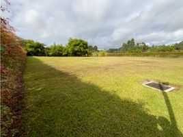  Land for sale in Rionegro, Antioquia, Rionegro