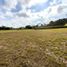  Land for sale in Rionegro, Antioquia, Rionegro