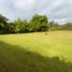  Land for sale in Rionegro, Antioquia, Rionegro