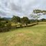  Land for sale in Rionegro, Antioquia, Rionegro