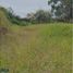  Land for sale in Guatape, Antioquia, Guatape