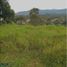  Land for sale in Guatape, Antioquia, Guatape