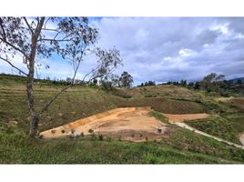  Land for sale in Rionegro, Antioquia, Rionegro