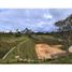  Land for sale in Rionegro, Antioquia, Rionegro