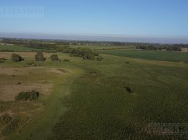  Terrain for sale in Campana, Buenos Aires, Campana