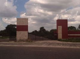  Grundstück zu verkaufen in Conkal, Yucatan, Conkal