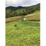  Land for sale in Cali, Valle Del Cauca, Cali