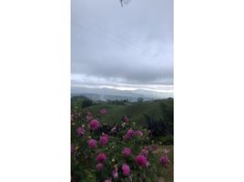  Land for sale in Cali, Valle Del Cauca, Cali