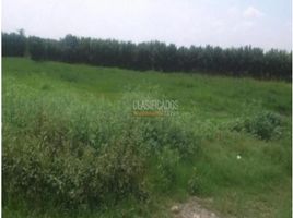  Land for sale in Palmira, Valle Del Cauca, Palmira