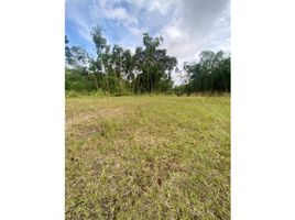  Land for sale in Pereira, Risaralda, Pereira