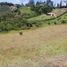  Land for sale in Marinilla, Antioquia, Marinilla