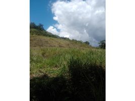  Terreno (Parcela) en venta en Pajarito, Boyaca, Pajarito