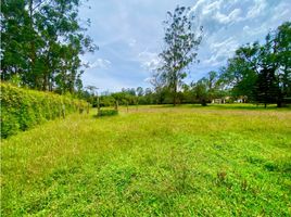  Land for sale in Rionegro, Antioquia, Rionegro