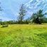  Land for sale in Rionegro, Antioquia, Rionegro