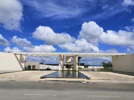 Grundstück zu verkaufen in Conkal, Yucatan, Conkal