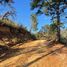  Land for sale in Ciudad Venustiano Carranza, Jalisco, Ciudad Venustiano Carranza
