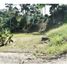  Land for sale in Amaga, Antioquia, Amaga