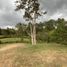  Land for sale in La Ceja, Antioquia, La Ceja