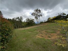  Terreno (Parcela) en venta en La Ceja, Antioquia, La Ceja