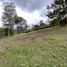  Land for sale in La Ceja, Antioquia, La Ceja