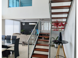 4 Habitación Apartamento en venta en Panamá, San Francisco, Ciudad de Panamá, Panamá, Panamá