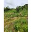  Land for sale in Penonome, Cocle, Cocle, Penonome