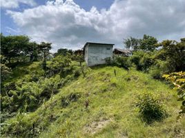  Terreno (Parcela) en venta en Coclé, Coclé, Penonomé, Coclé