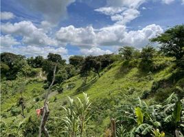  Land for sale in Penonome, Cocle, Cocle, Penonome