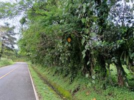  Terreno (Parcela) en venta en Bugaba, Chiriquí, El Bongo, Bugaba