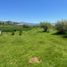  Terreno (Parcela) en venta en Maule, Curico, Curicó, Maule