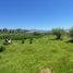  Terreno (Parcela) en venta en Maule, Curico, Curicó, Maule