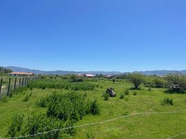  Terreno (Parcela) en venta en Maule, Curico, Curicó, Maule