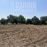  Terreno (Parcela) en venta en Colina, Chacabuco, Colina