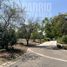  Terreno (Parcela) en venta en Colina, Chacabuco, Colina