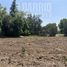  Terreno (Parcela) en venta en Colina, Chacabuco, Colina