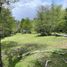  Terreno (Parcela) en venta en Capitán Prat, Aisén del General Carlos Ibáñez del Campo, Cochrane, Capitán Prat