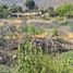  Terreno (Parcela) en venta en La Serena, Elqui, La Serena