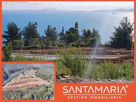  Terreno (Parcela) en venta en Concepción, Biobío, Tome, Concepción