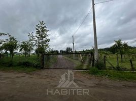  Terreno (Parcela) en venta en Chile, Quillego, Biobío, Biobío, Chile