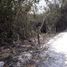  Terreno (Parcela) en venta en Carmen, Campeche, Carmen