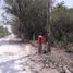  Terreno (Parcela) en venta en Carmen, Campeche, Carmen